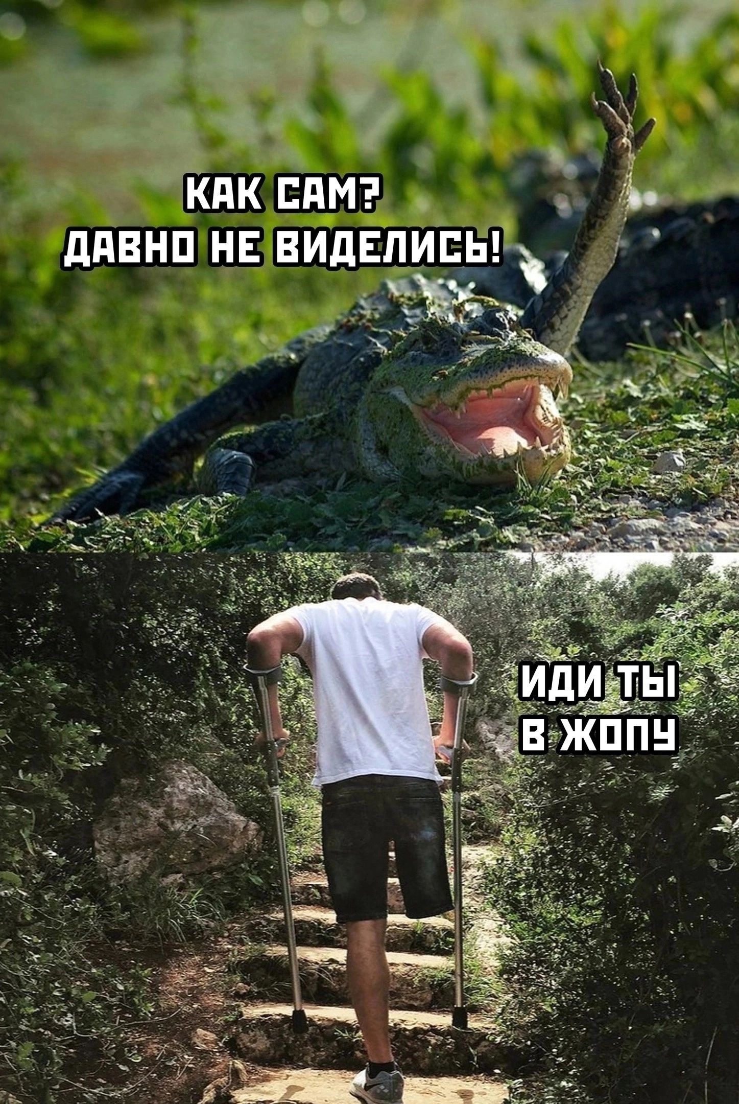 г и Ак сдмэ ддЕНП НЕ ВИДЕЛИЦ д