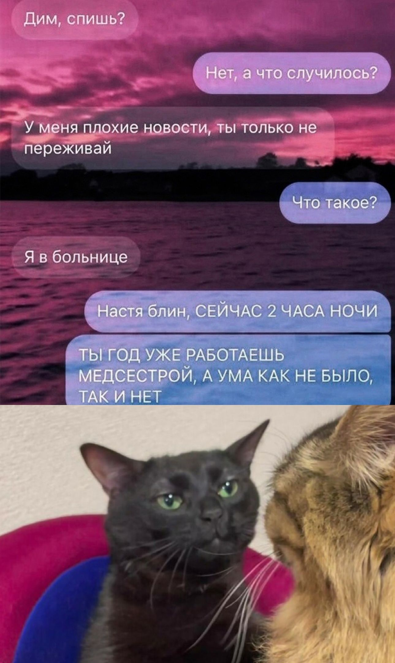 туеурёнжиеидвитцды Я в больнице