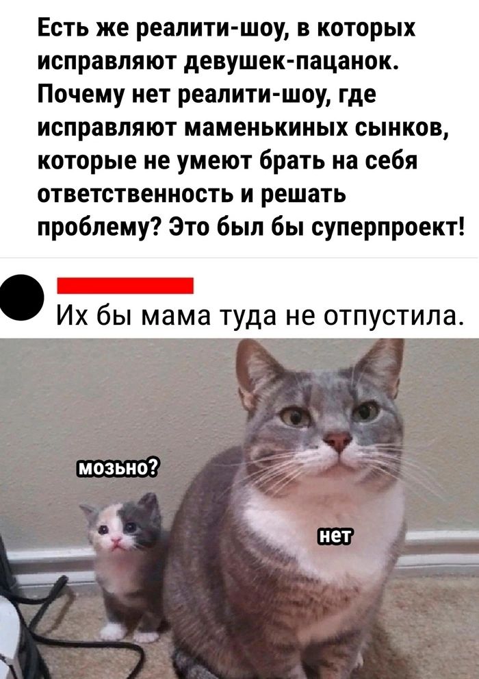Есть же реалити шоу в которых ИСПРЗВПЯЮТ девушек пацаиок Почему нет реалити шоу где исправляют маменькииых сынков которые не умеют брать из себя ответственность и решать проблему Это был бы суперпроект _ Их бы мама туда не отпустила