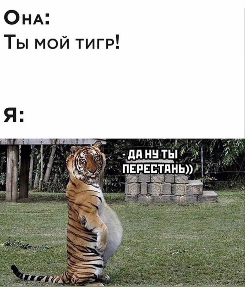 ОНА Ты мой тигр дя на ты пиртянь 1