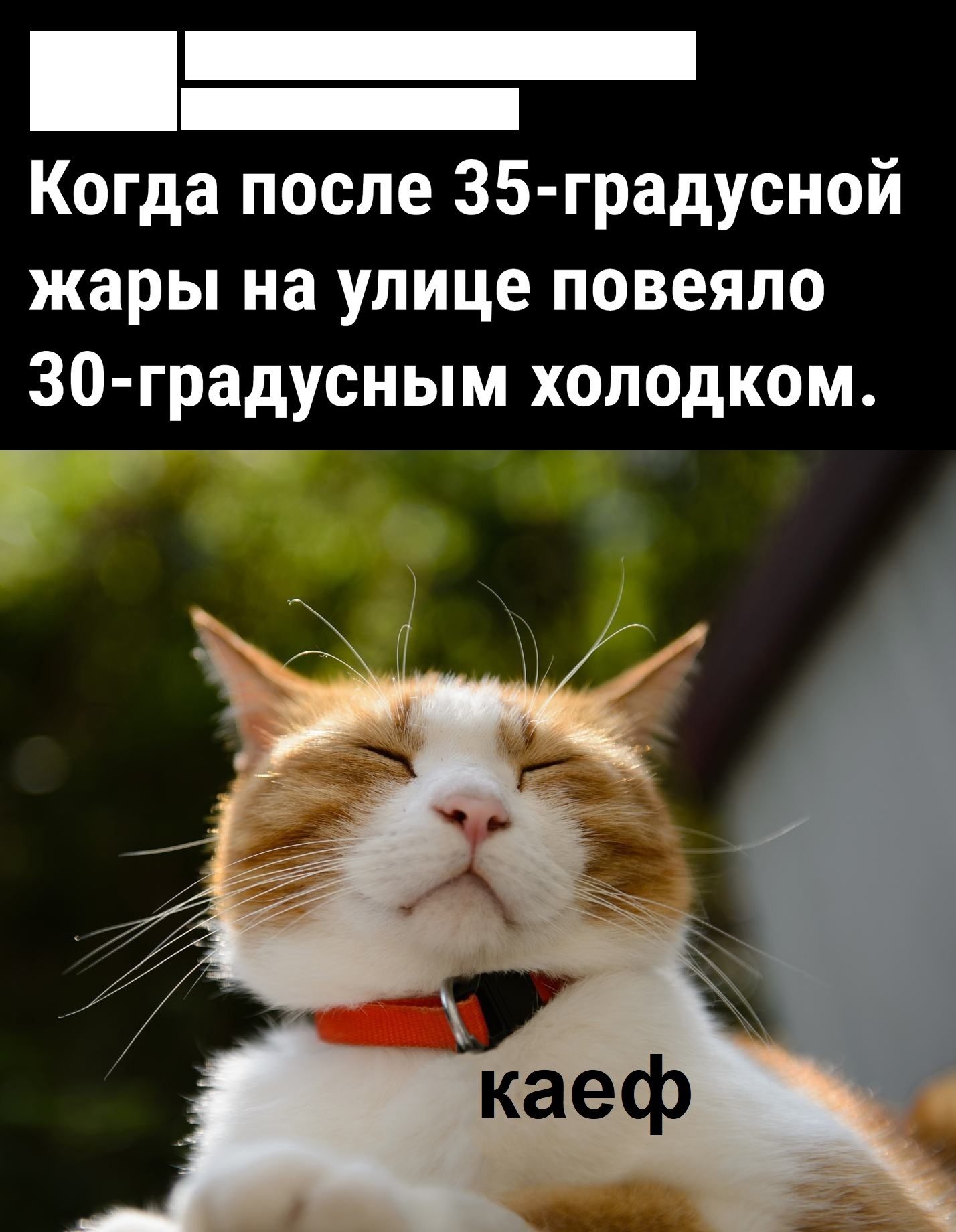 Когда после 35 градусной жары на улице повеяло 30 градусным холодком