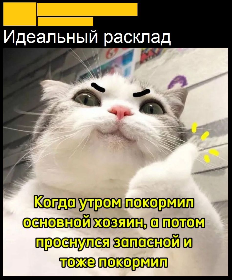 _ Идеальный расклад венозной тп Ци