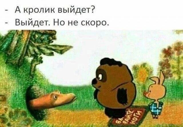 А кролик выйдет Выйдет Но не скоро