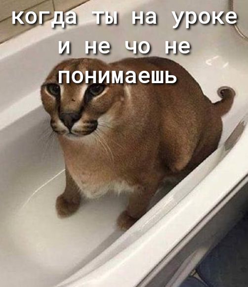 Даты на урохік И на Ч НЭ Понимаешь