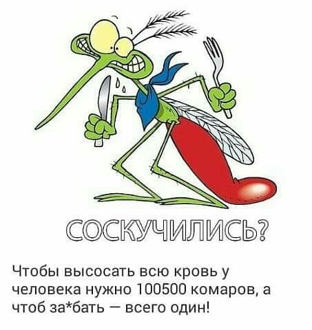 скучидтиы Чтобы высосать всю кровь у человека нужно 100500 комаров а чтоб забать всего один