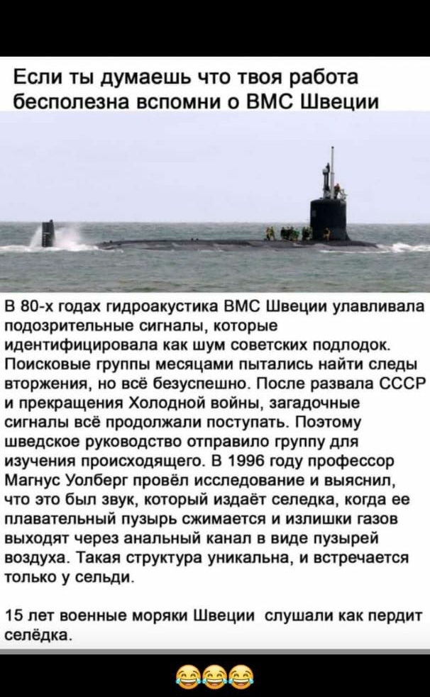 Если ты думаешь что твоя работа бесполезна вспомни о ВМС Швеции эч щ __ _ _ В 80 х годах гидроакустика ВМС Швеции улавливапа подозрительные сигналы которые идентифицировали как шум советских подлодок Поисковые группы месяцами пытались найти следы вторжения но всё безуспешно После развала СССР и прекращения Холодной войны загадочные сигналы всё продолжали поступать Поэтому шведское руководство отпр