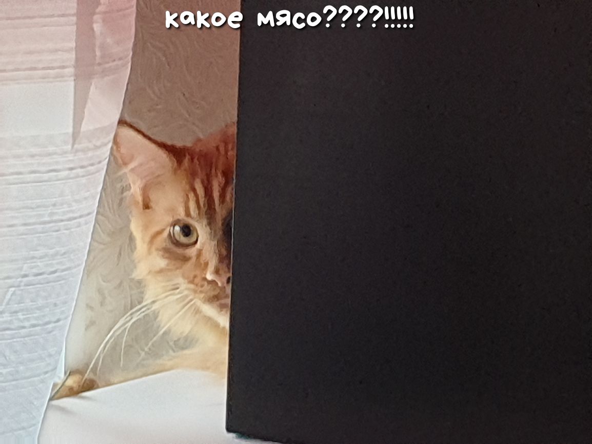 какое мясоН