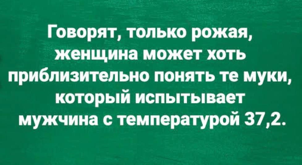 Говорят, только рожая, женщина может хоть приблизительно понять те муки, который испытывает мужчина с температурой 37,2.
