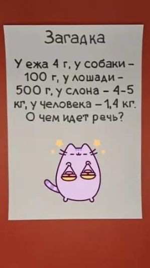 Загадка
У ежа 4 г, у собаки - 100 г, у лошади - 500 г, у слона - 4-5 кг, у человека - 1,4 кг. О чём идет речь?