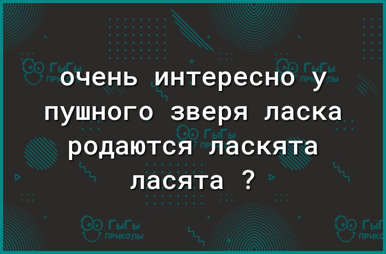 очень интересно У ПУШНОГО зверя ласка родаются ласкята ласята