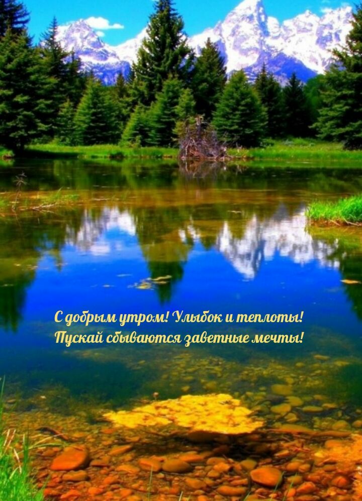 С добрым утрогмУлыбок и теплоты Пускай сбываются заветные мечты