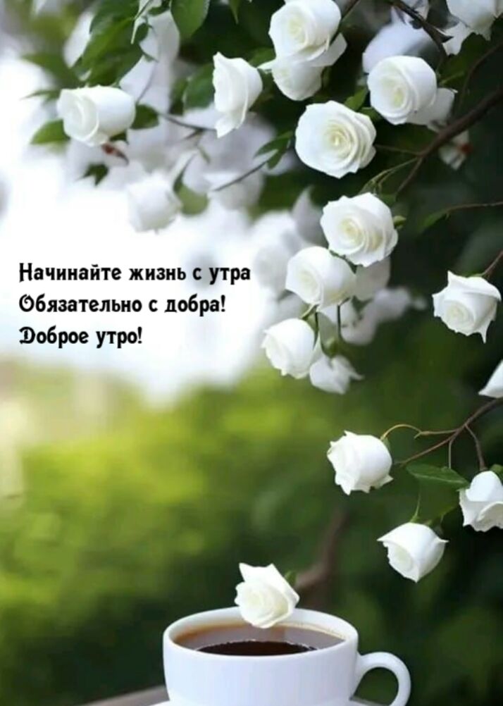 Начинайте жизнь с утра Фбязательно с добра Эоброе утро ч