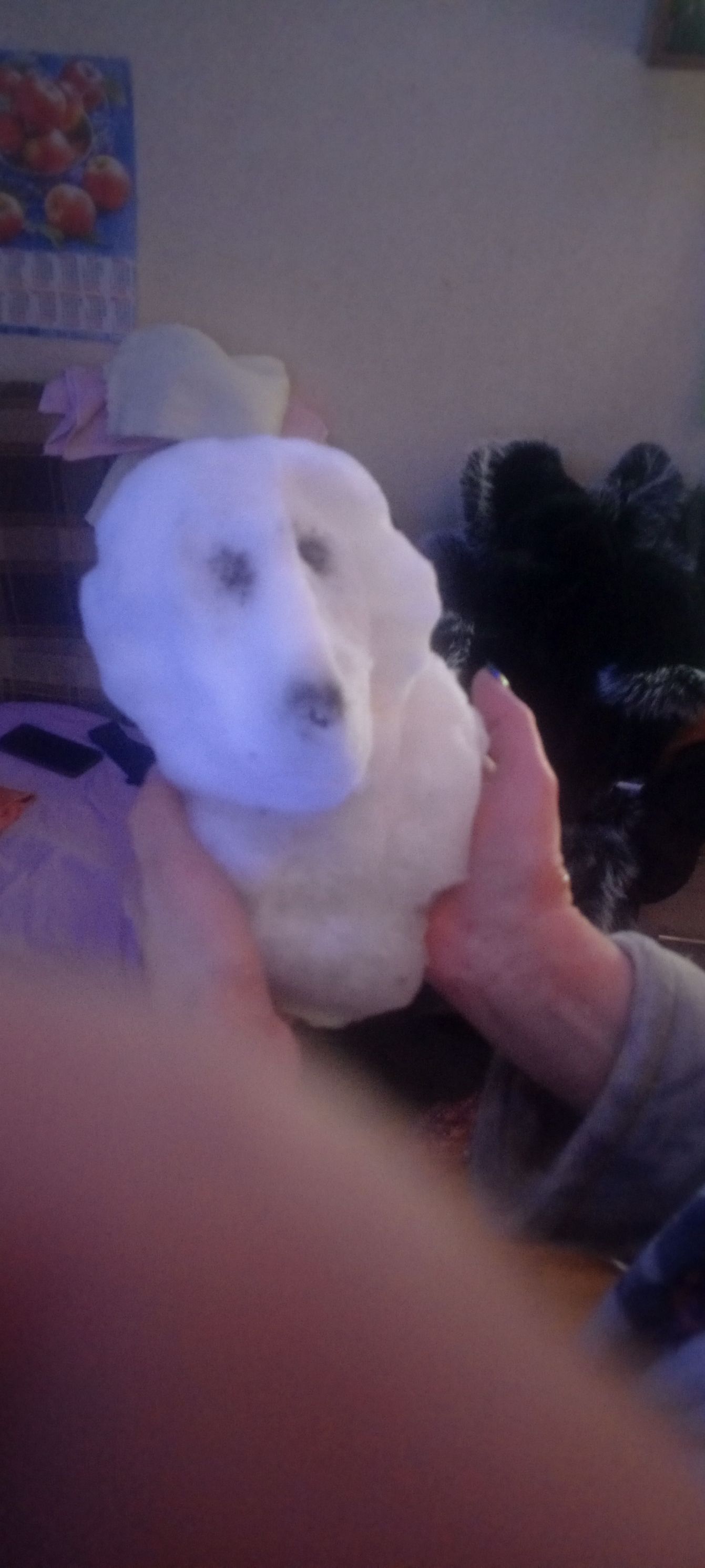 Взрослый держит в руках кусок снега или снежную фигуру.