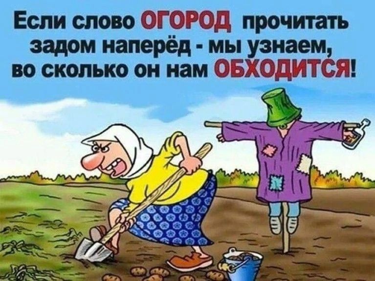 ово ОГОРОД прочита сколько он нам ОБХОДИТСЯ