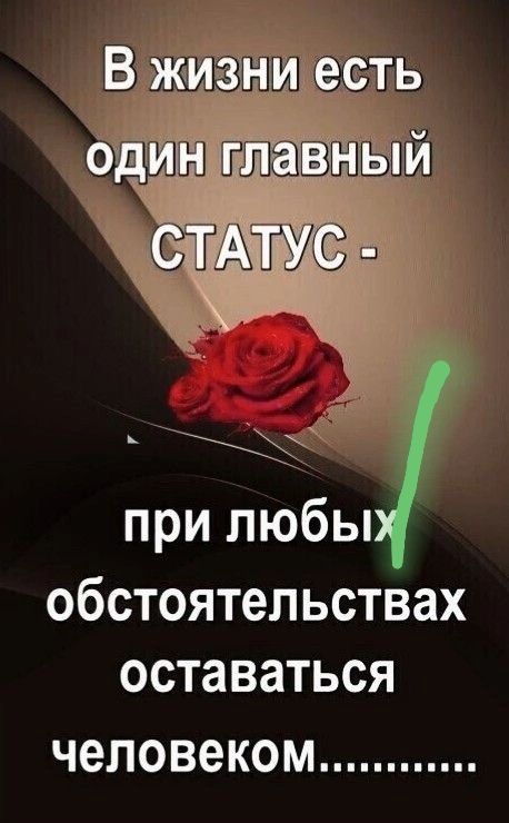 В жизни есть один главный СТАТУС - при любых обстоятельствах оставаться человеком..........