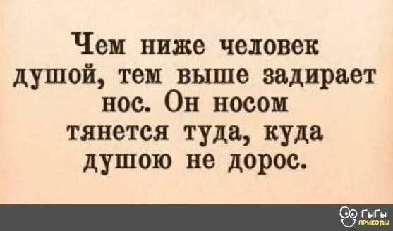 Чем ниже человек душой, тем выше задирает нос. Он носом тянется туда, куда душою не дорос.