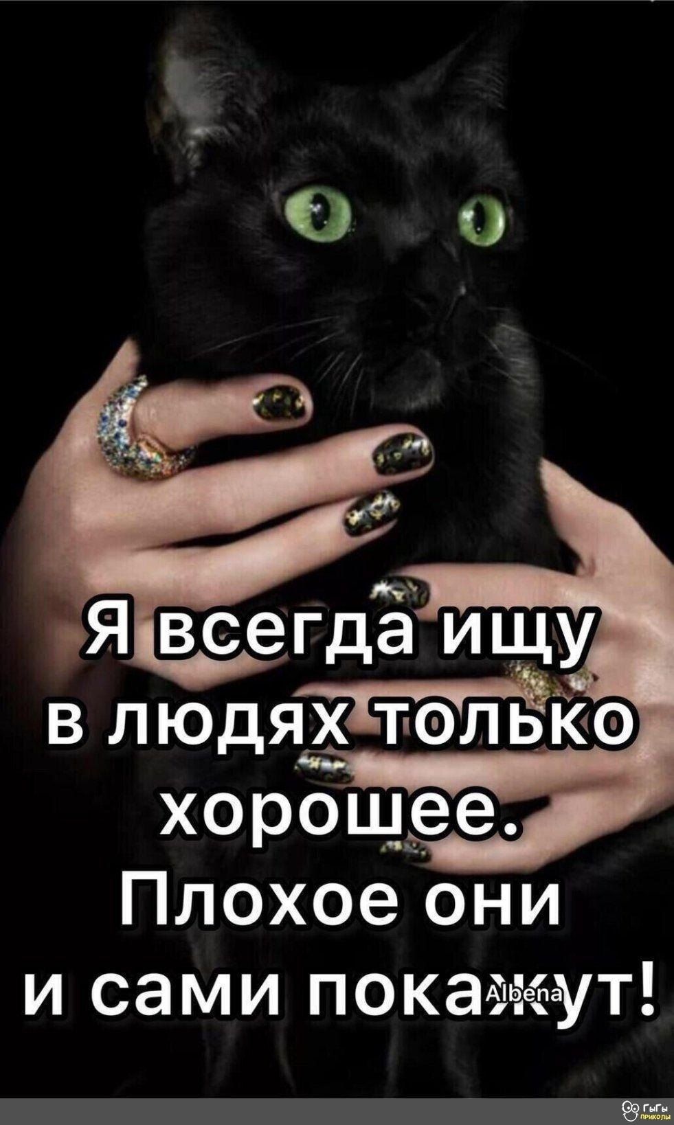 Я всегда ищу в людях только хорошее. Плохое они и сами покажут!