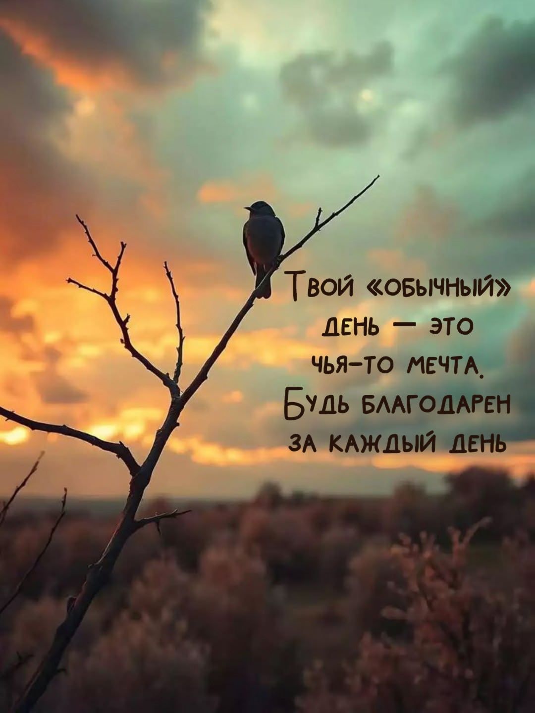 Твой «обычный» день — это чья-то мечта. Будь благодарен за каждый день