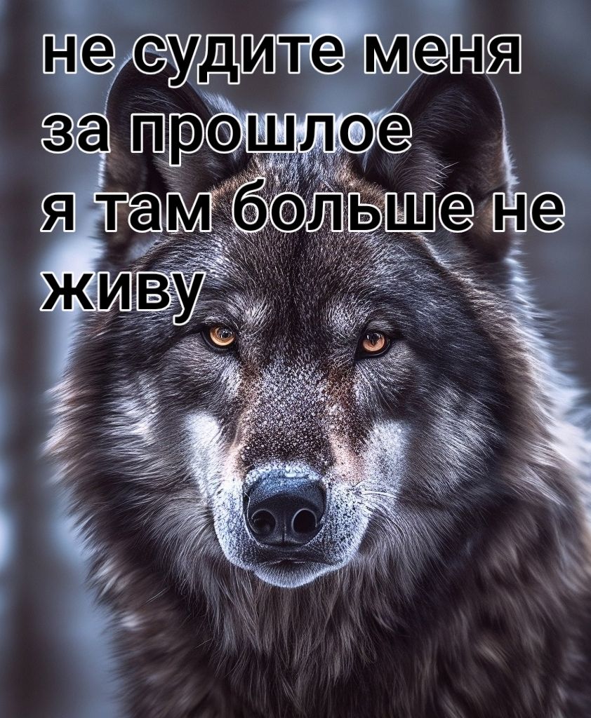 не судите меня за прошлое я там больше не живу