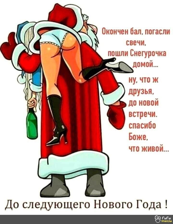 Окончен бал, погасли свечи, пошли Снегурочка домой... ну, что ж друзья, до новой встречи. спасибо Боже, что живой... До следующего Нового Года !