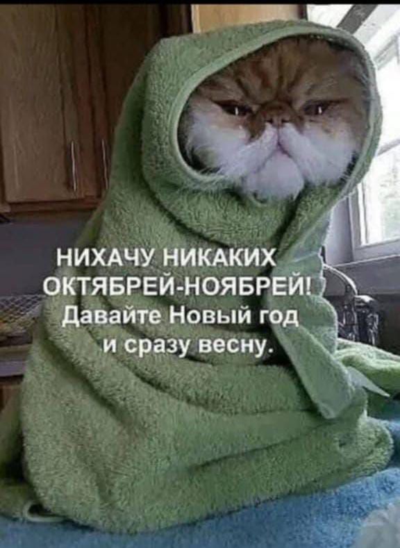 НИХАЧУ НИКАКИХ ОКТЯБРЕЙ-НОЯБРЕЙ! Давайте Новый год и сразу весну.
