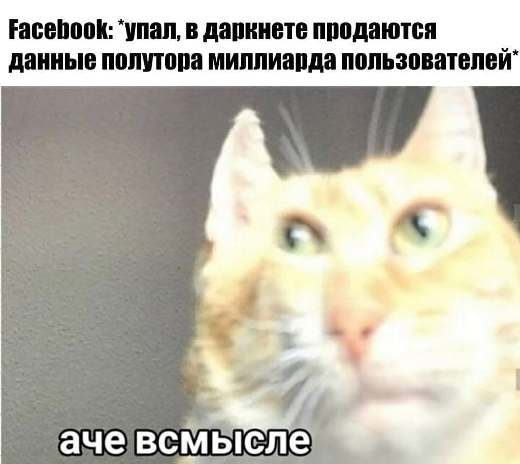 псвпвпи тиви дипиипо плодами длинне потопа ииппияпм попьюитвпей аче всМыспе