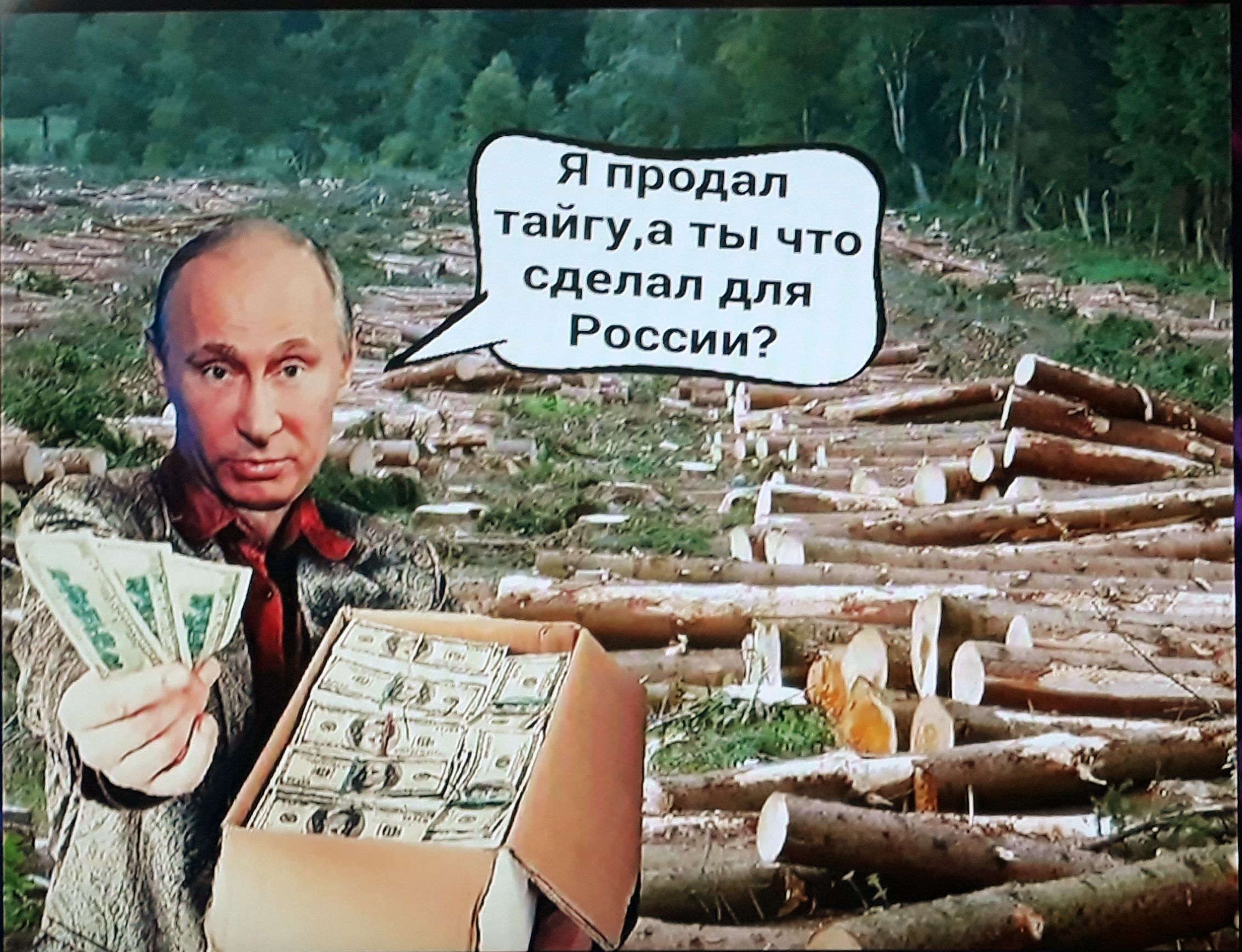 Я продал тайгу,а ты что