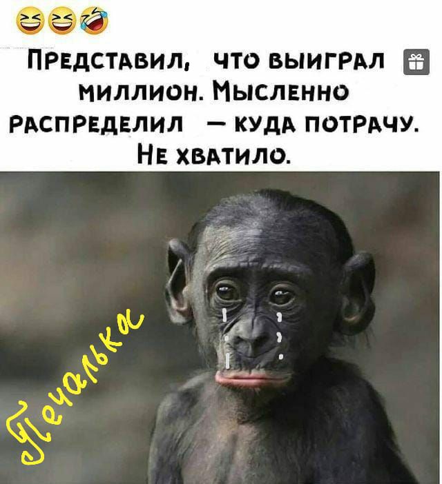 ПРЕДСТАВИЛ что выигРАл 5 миллион Мыслвнно РАСПРЕДЕЛИЛ КУДА потмчу НЕ хвдтило