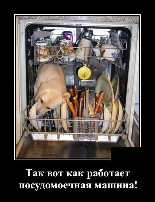 Так вот как работает посудомоечная машина