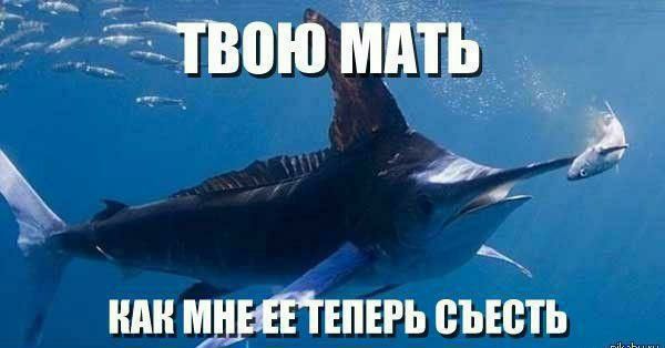ТВОЮ МАТЬ й КАК МНЕЖЕТЕПЕРЬ СЪЕСТЬ