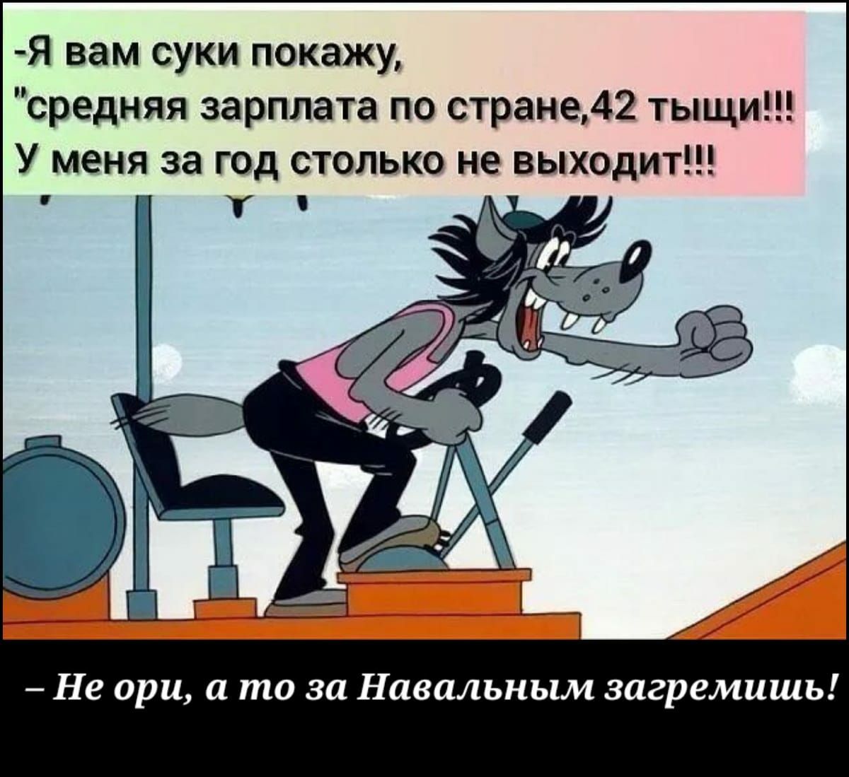 Я вам суки покажу средняя зарплата по странеш тыщи У меня за год столько не выходит Не при и то за Навальным зпгремишь