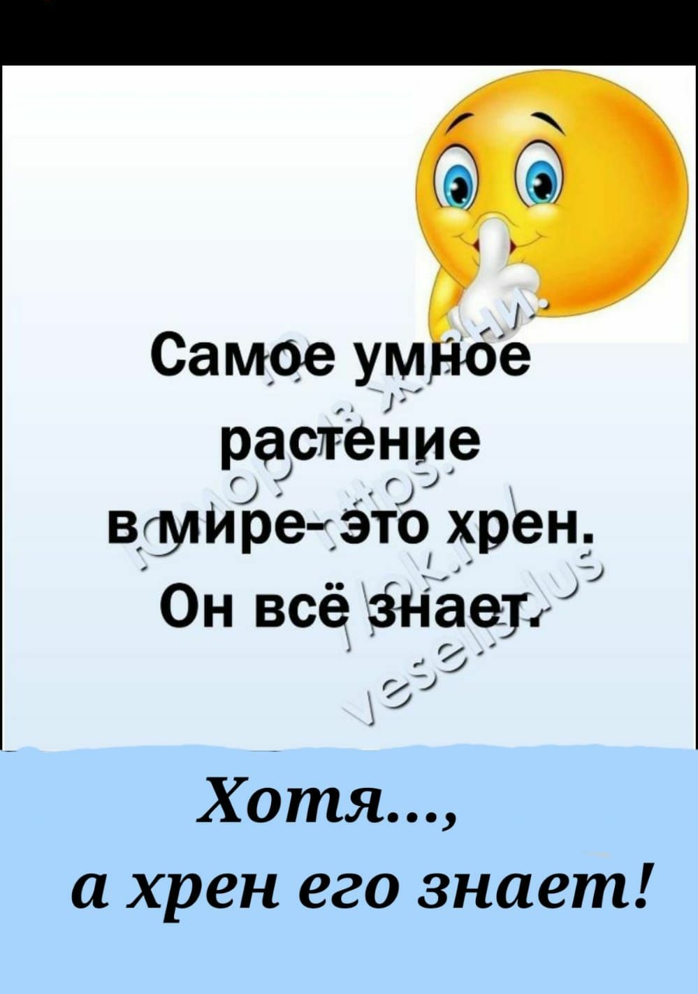31 Самое умнбе растение тире это х_рен Он всё ёнает Хотя и хрен его знает