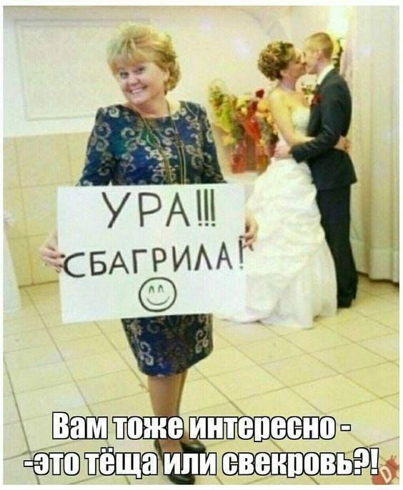 вивеип