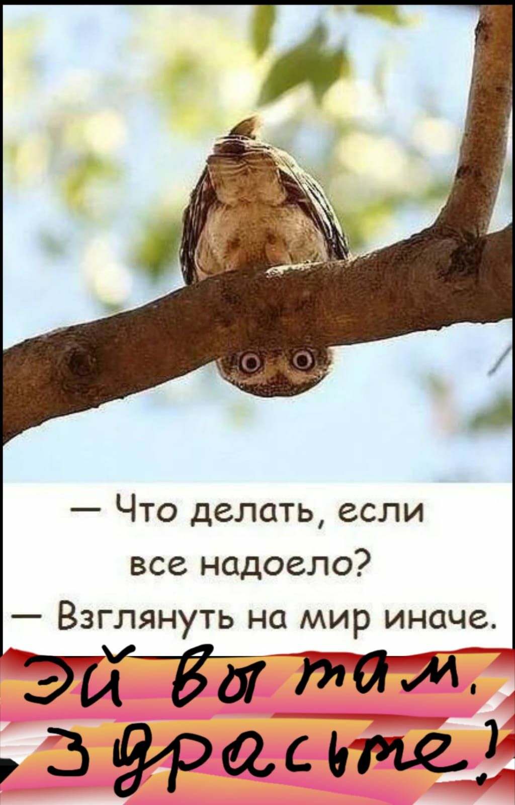 Что делать если все надоело Взглянуть на мир иначе ЭЪТ Ба ТУТЁЁ 3 угри