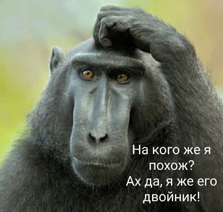 На кого же я похож Ах дая же его двойник ы