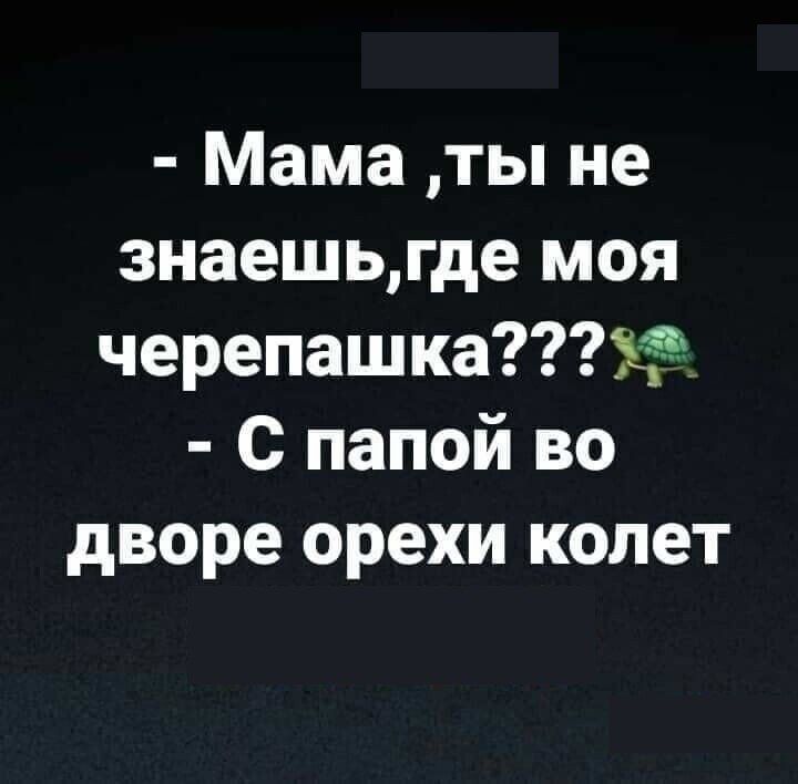 Мама ты не знаешьгде моя черепашка С папой во дворе орехи колет