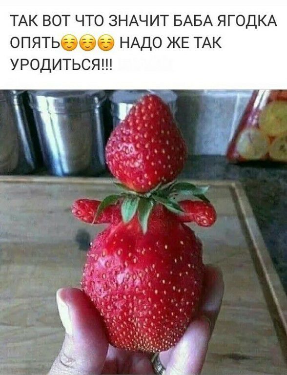 ТАК ВОТ ЧТО ЗНАЧИТ БАБА ЯГОДКА ОПЯТЬ НАДО ЖЕ ТАК УРОДИТЬСЯ
