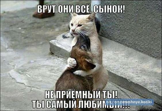 ШЕПРИЕмны жсшмыи пюь