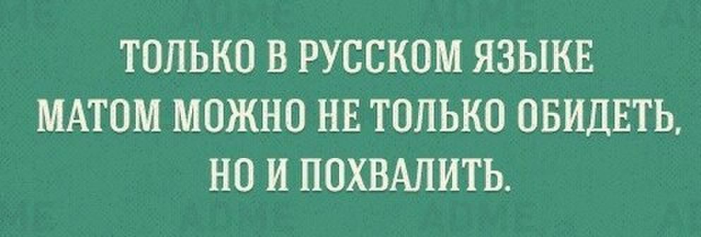 ТОЛЬКО В РУССКОМ ЯЗЫКЕ МАТОМ МОЖНО НЕ ТОЛЬКО ОБИДЕТЬ НО И ПОХВАПИТЬ