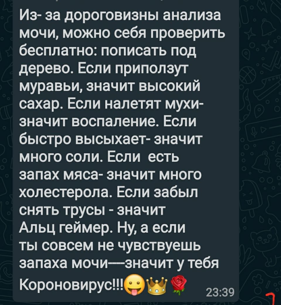 Из за дороговизны анализа мочи можно себя проверить бесплатно пописать под дерево Если приползут муравьи значит высокий сахар Если налетят мухи значит воспаление Если быстро высыхает значит много соли Если есть запах мяса значит много холестерола Если забыл снять трусы значит Альц геймер Ну а если ты совсем не чувствуешь запаха мочизнач ит у тебя Короновирус9 2339