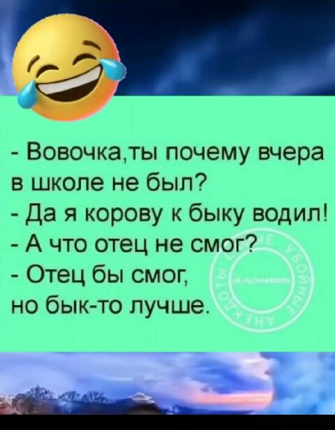 г Вовочкаты почему вчера в школе не был Да я корову к быку водил А что отец не смог Отец бы смог но бык то лучше