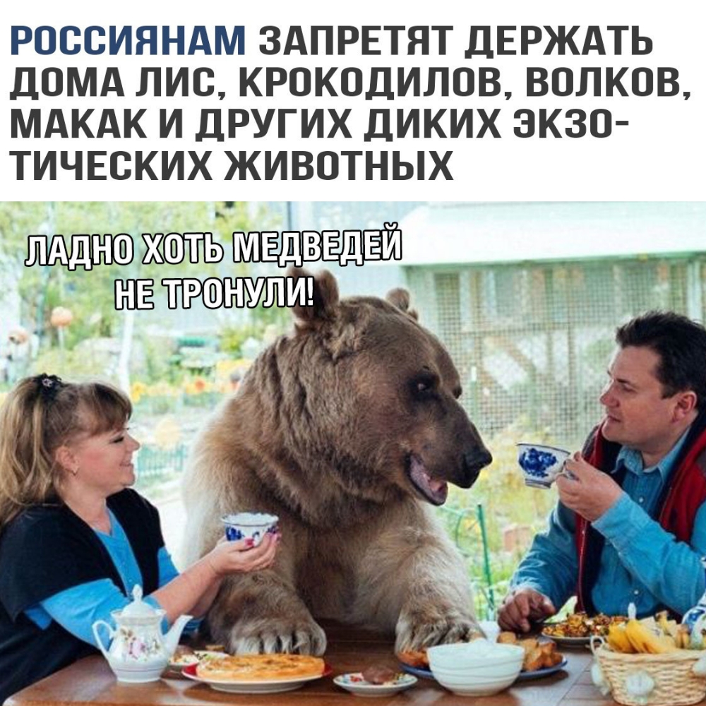 РОВСИЯНАМ ЗАПРЕТЯТ ДЕРЖАТЬ ЛОМА ЛИС КРОКОДИЛОВ ВОЛКОВ МАКАК И ДРУГИХ ДИКИХ ЭКЗО ТИЧЕСКИХ ЖИВОТНЫХ