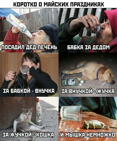 КПРПТКП П МП БКИХ ПРПЗЛНИКАХ хп вянйчй нннчки