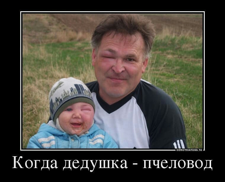 Когда дедушка пчеловод
