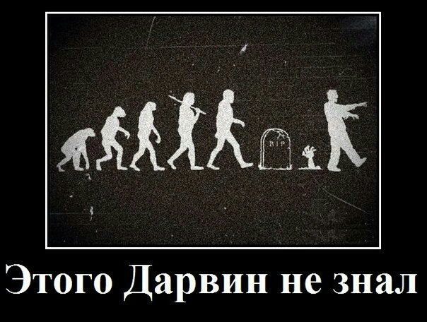 Этого Дарвин не знал