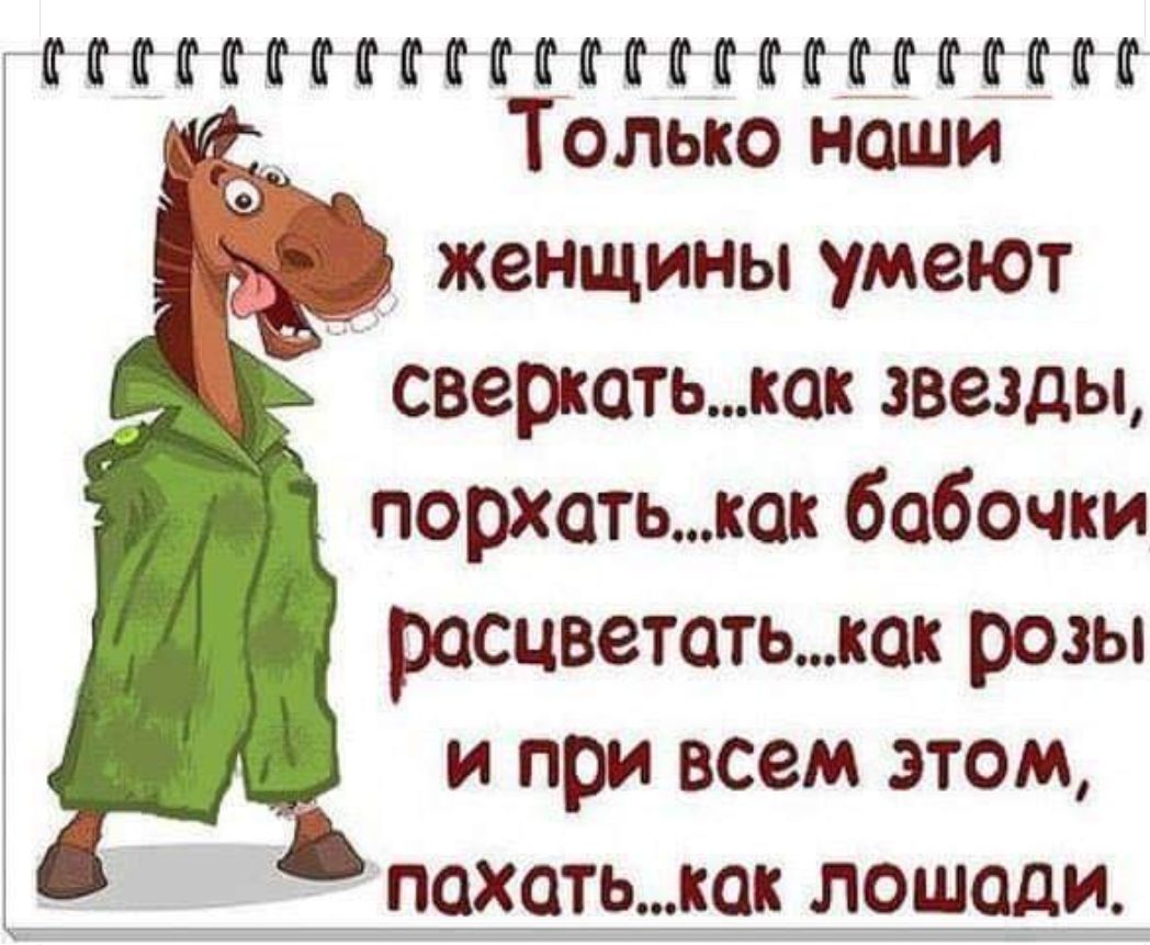 акттттттттатттттттттттіктт Только наши женщины умеют сверкатькок звезды перхотькак бабочки расцветотькок розы и при всем этом похотькок лошади