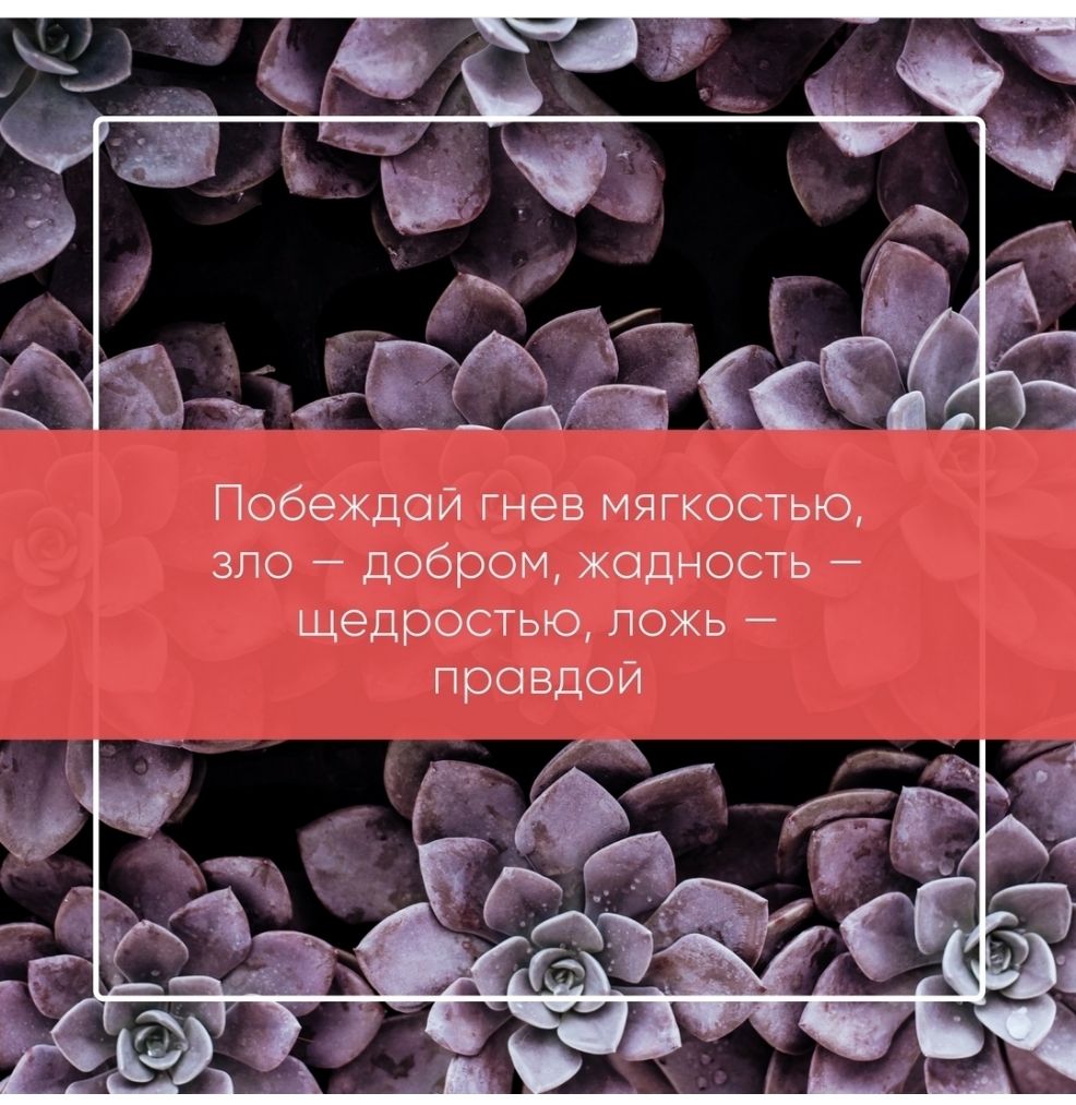 Побеждой гнев мягкостью зло добром жадность щедростью ложь провдой