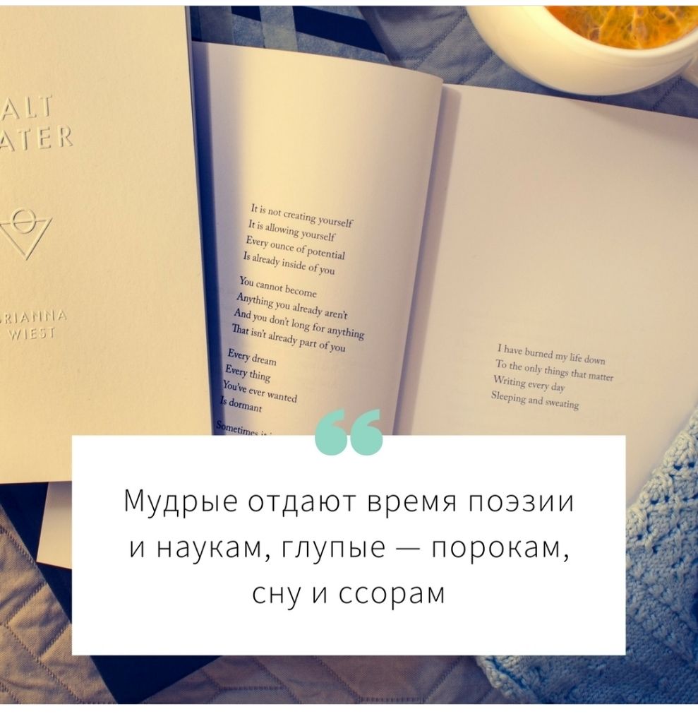 Мудрые отдают время поэзии и наукам глупые порокам сну и ссорам
