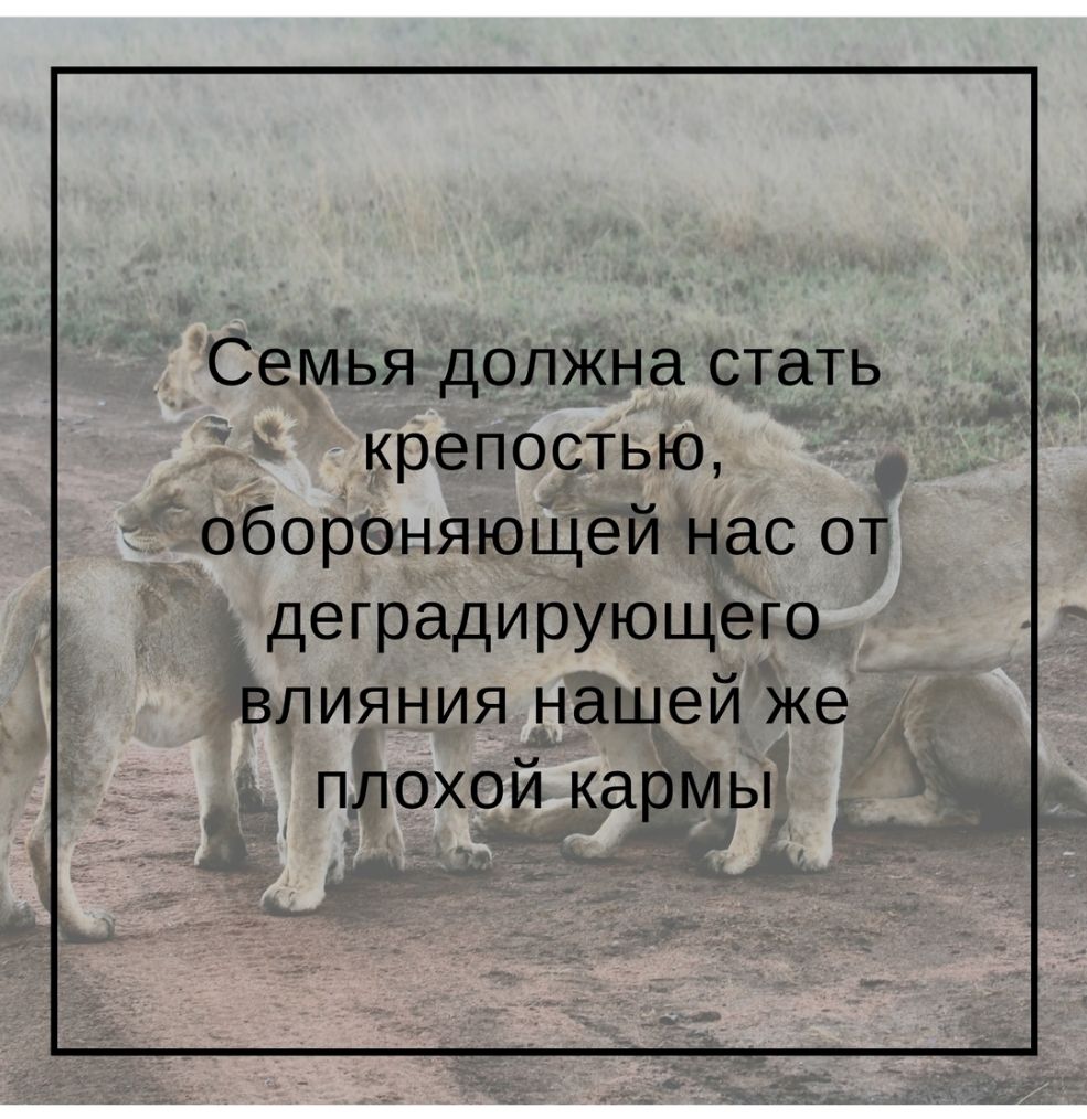 Семья должна стать крепостью обороняющей нас от деградирующего влияния нашей же плохой кармы
