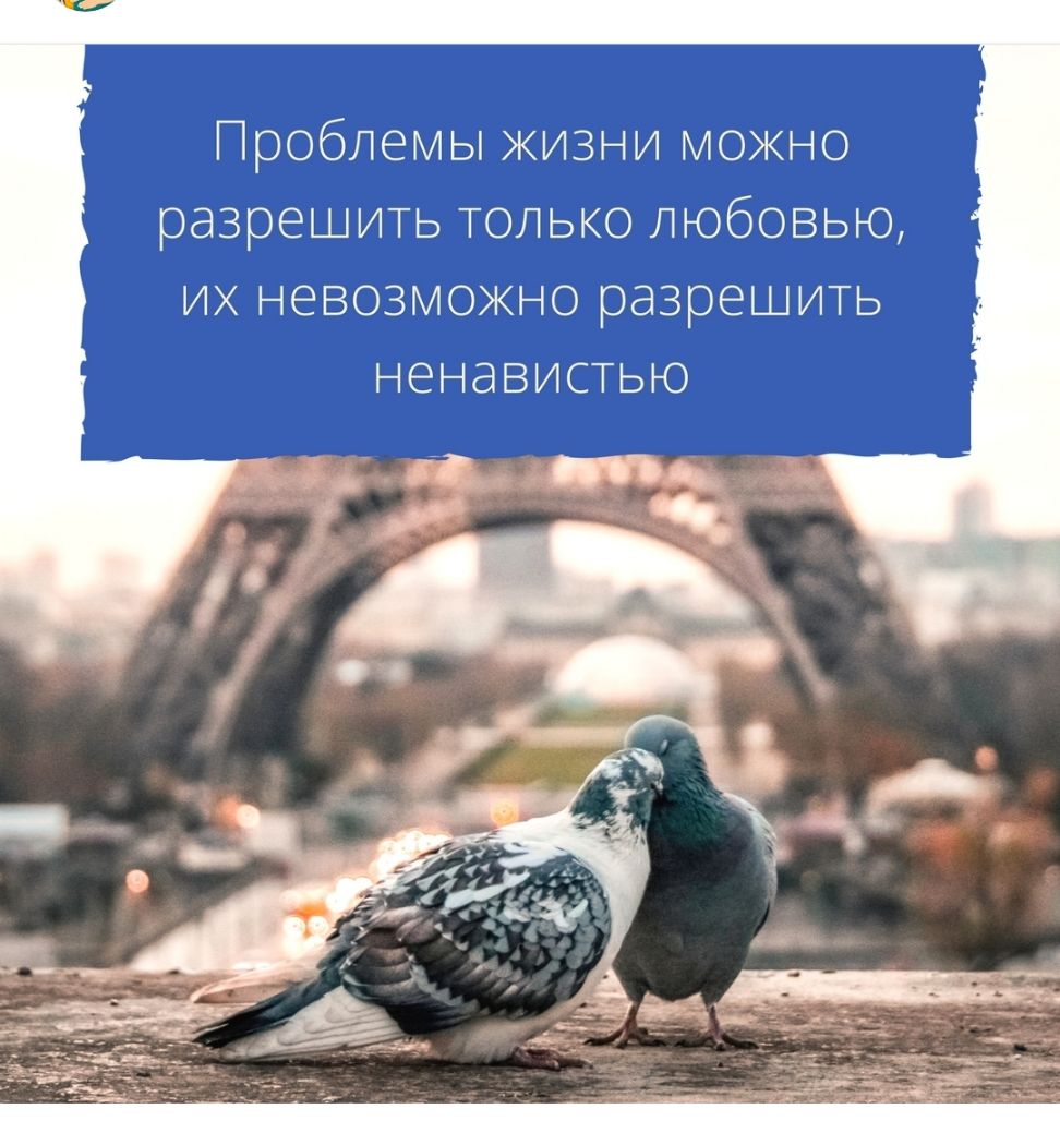 Проблемы жизни можно разрешить только любовью их невозможно разрешить ненавистью